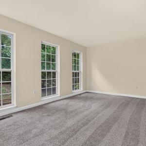 Photo #12 of 4069 CAPTAINS CORRIDOR, GREENBACKVILLE, VA 65.0 acres