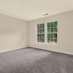 Photo #24 of 4069 CAPTAINS CORRIDOR, GREENBACKVILLE, VA 65.0 acres