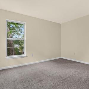 Photo #35 of 4069 CAPTAINS CORRIDOR, GREENBACKVILLE, VA 65.0 acres