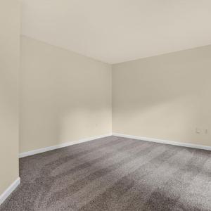 Photo #5 of 4069 CAPTAINS CORRIDOR, GREENBACKVILLE, VA 65.0 acres