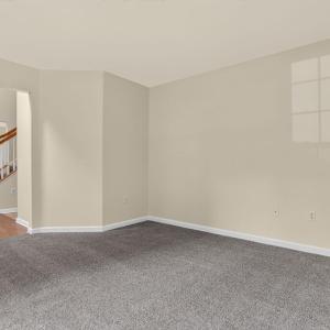Photo #8 of 4069 CAPTAINS CORRIDOR, GREENBACKVILLE, VA 65.0 acres