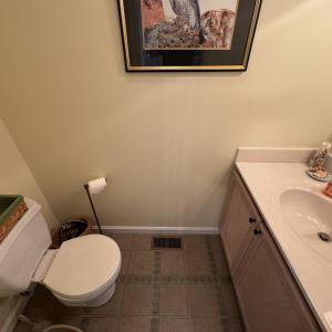 Photo #12 of 6488 COACH'S LANE, CHINCOTEAGUE, VA 0.0 acres