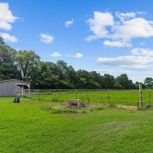 Ram Fencing in Pasture