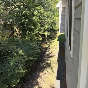 Photo #49 of 7705 EAST SIDE RD, CHINCOTEAGUE, VA 0.3 acres