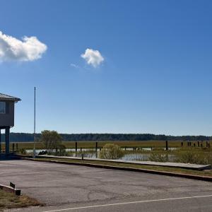 Photo #62 of 7705 EAST SIDE RD, CHINCOTEAGUE, VA 0.3 acres