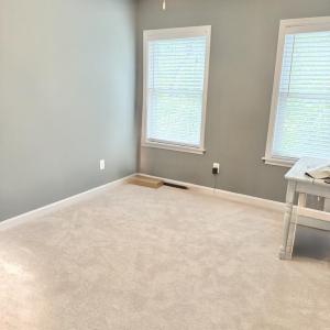 Photo #39 of 7705 EAST SIDE RD, CHINCOTEAGUE, VA 0.3 acres