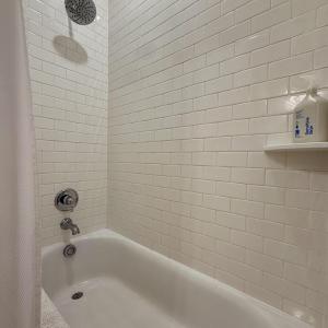 Photo #36 of 22287 PLUM TREE RD, CAPE CHARLES, VA 0.5 acres