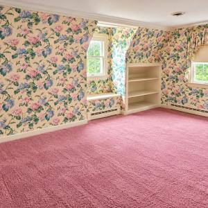 Photo #14 of 24238 MAXWELL STREET, PARKSLEY, VA 0.4 acres