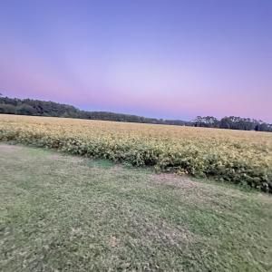 Photo #17 of 26254 BAYLYS NECK RD, ACCOMAC, VA 54.5 acres