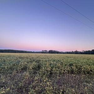Photo #19 of 26254 BAYLYS NECK RD, ACCOMAC, VA 54.5 acres