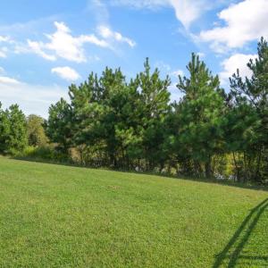 Photo #43 of 3150 NAVIGATOR DR, GREENBACKVILLE, VA 70.0 acres
