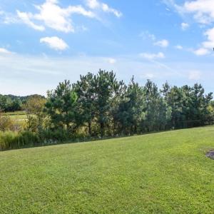 Photo #44 of 3150 NAVIGATOR DR, GREENBACKVILLE, VA 70.0 acres