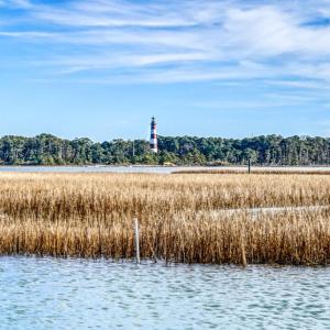 Photo #29 of 7661 #8 EAST SIDE RD, CHINCOTEAGUE, VA 0.1 acres