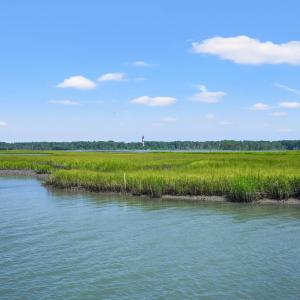 Photo #38 of 7661 #8 EAST SIDE RD, CHINCOTEAGUE, VA 0.1 acres