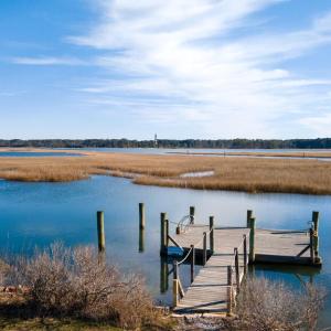Photo #51 of 7661 #8 EAST SIDE RD, CHINCOTEAGUE, VA 0.1 acres