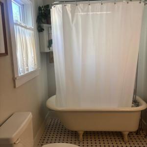 Photo #14 of 3 LEE ST, WACHAPREAGUE, VA 135.0 acres