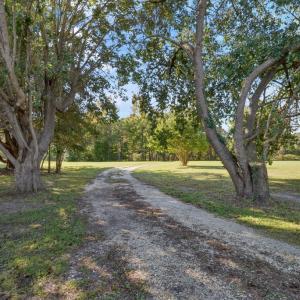 Photo #3 of 17591 SAINT THOMAS RD, PARKSLEY, VA 26.8 acres