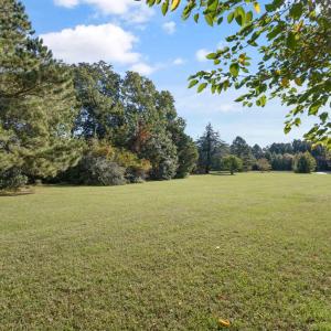 Photo #55 of 17591 SAINT THOMAS RD, PARKSLEY, VA 26.8 acres