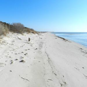 Neighborhood beach