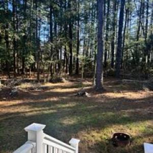 Photo #28 of 3005 SLOOP CT, GREENBACKVILLE, VA 0.2 acres