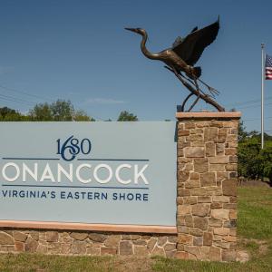 Photo #121 of 34165 HYSLOP LN, CRADDOCKVILLE, VA 5.1 acres