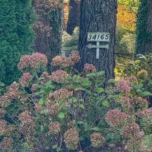Photo #61 of 34165 HYSLOP LN, CRADDOCKVILLE, VA 5.1 acres