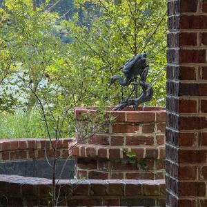 Photo #66 of 34165 HYSLOP LN, CRADDOCKVILLE, VA 5.1 acres