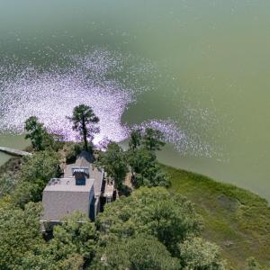 Photo #85 of 34165 HYSLOP LN, CRADDOCKVILLE, VA 5.1 acres