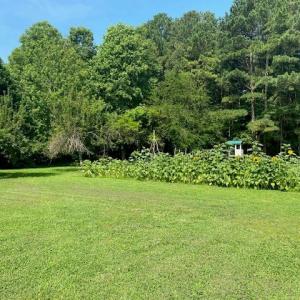 Photo #25 of 27358 EVERGREEN LN, MELFA, VA 3.0 acres