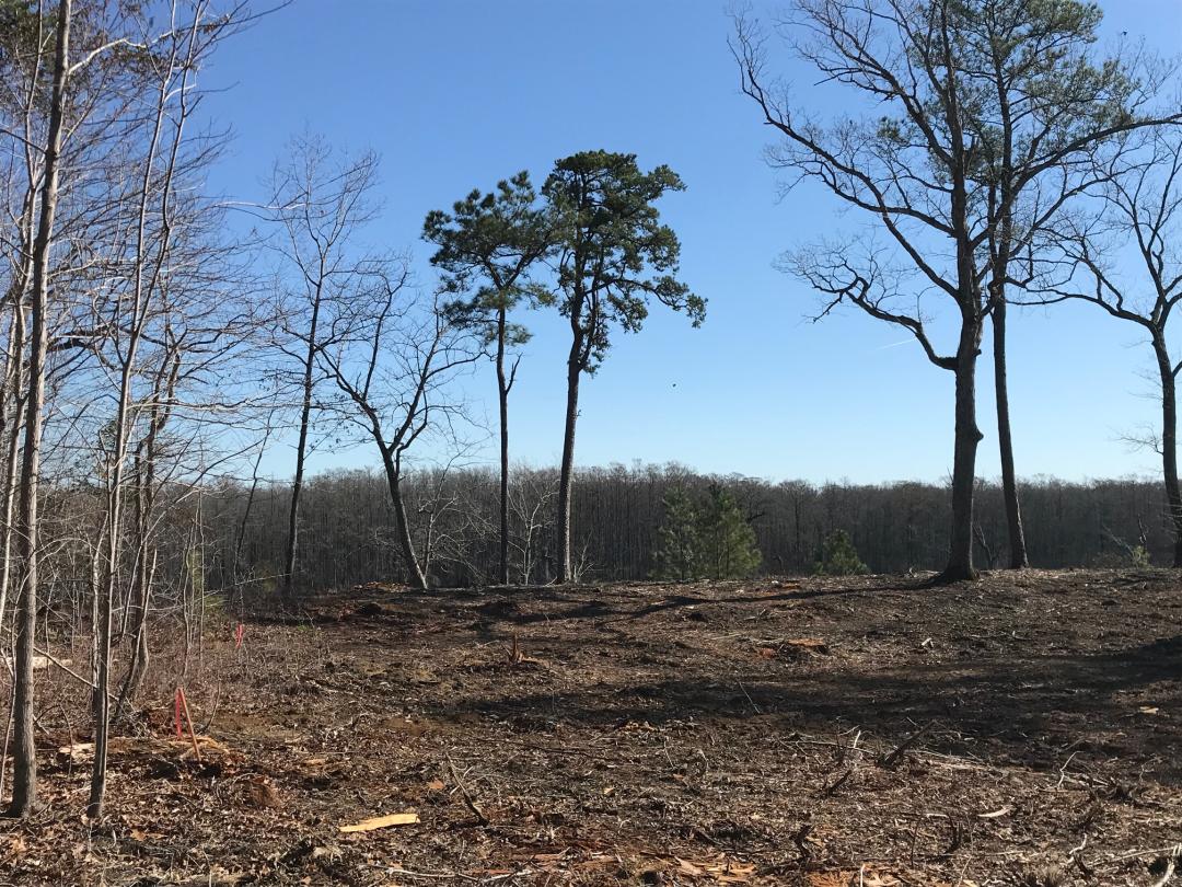 Winton, NC 0.7 acres Land and Farms Realty