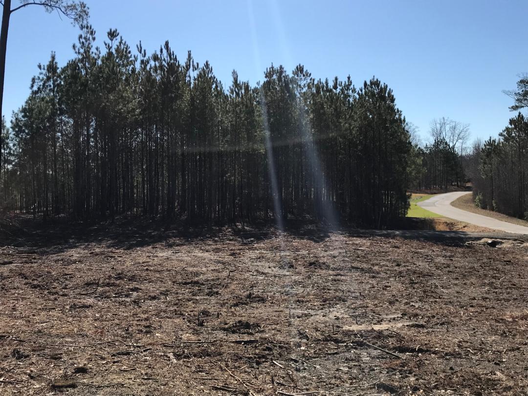 Winton, NC 0.7 acres Land and Farms Realty