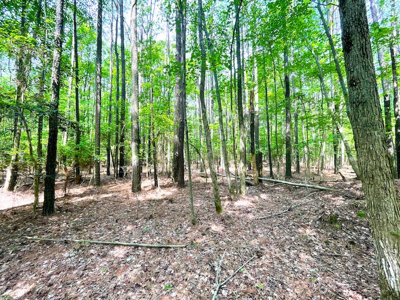 Melfa, VA 88.17 acres Land and Farms Realty