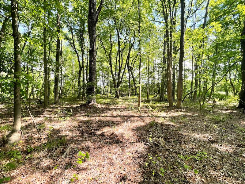 Melfa, VA 88.17 acres Land and Farms Realty