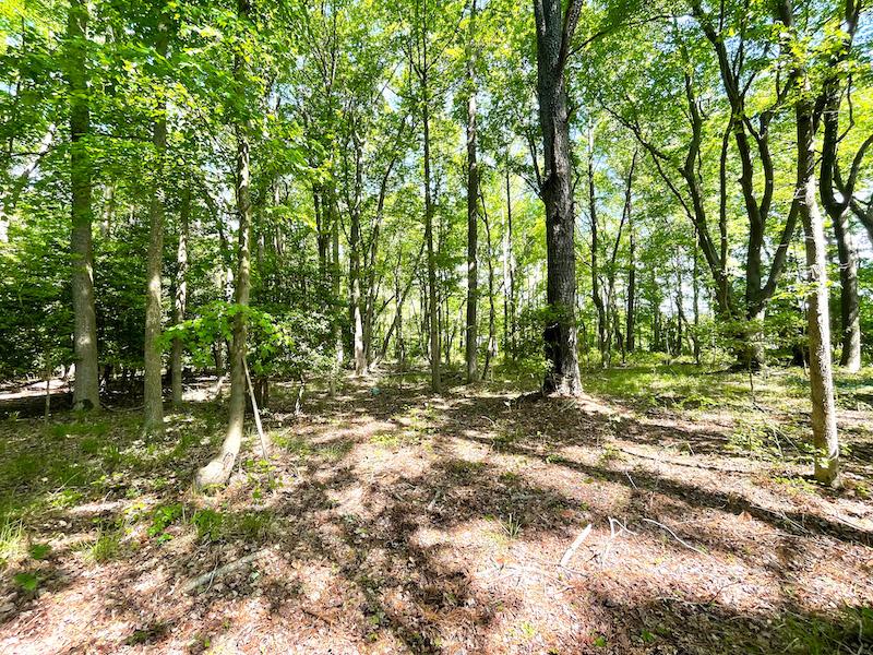 Melfa, VA 88.17 acres Land and Farms Realty