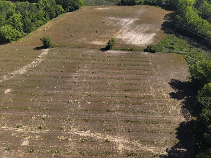 Dunn, NC 19 acres Land and Farms Realty