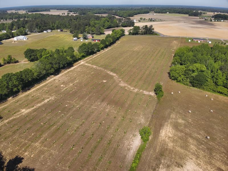 Dunn, NC 19 acres Land and Farms Realty