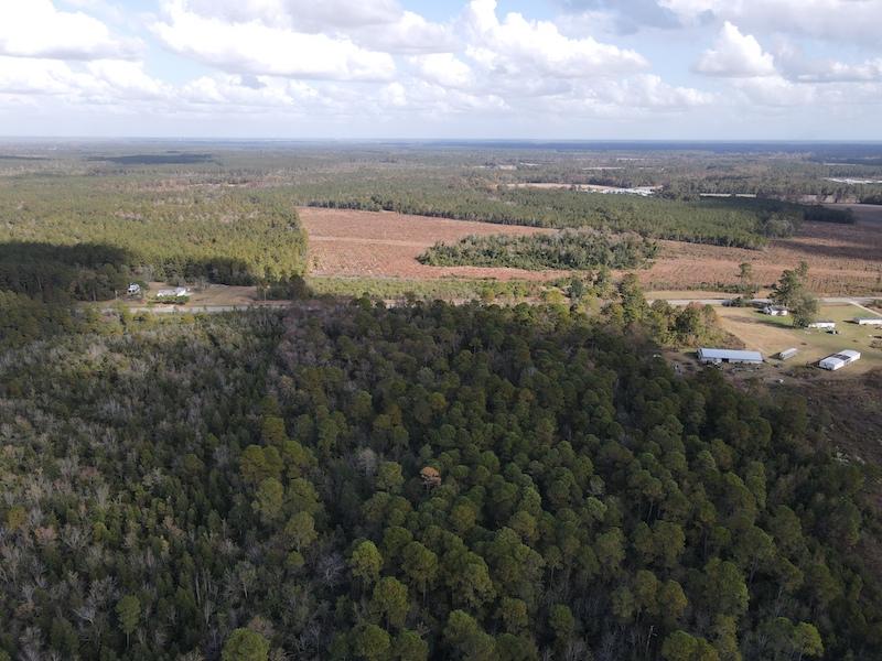 Rose Hill, NC 40 acres Land and Farms Realty