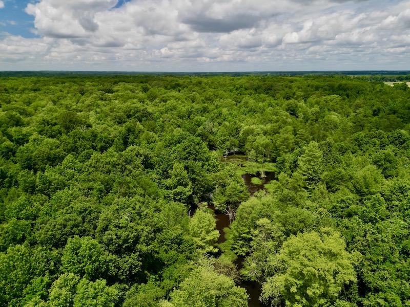 Hookerton, NC 36 acres Land and Farms Realty