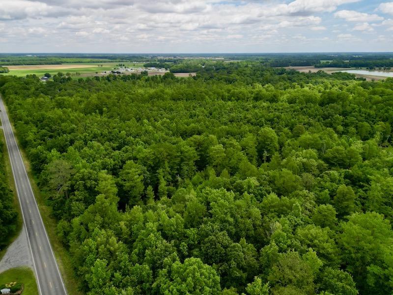 Hookerton, NC 36 acres Land and Farms Realty