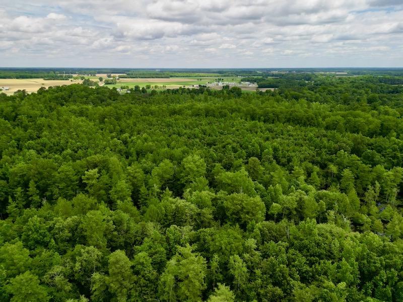 Hookerton, NC 36 acres Land and Farms Realty