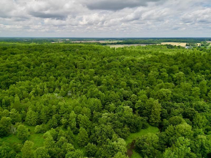Hookerton, NC 36 acres Land and Farms Realty