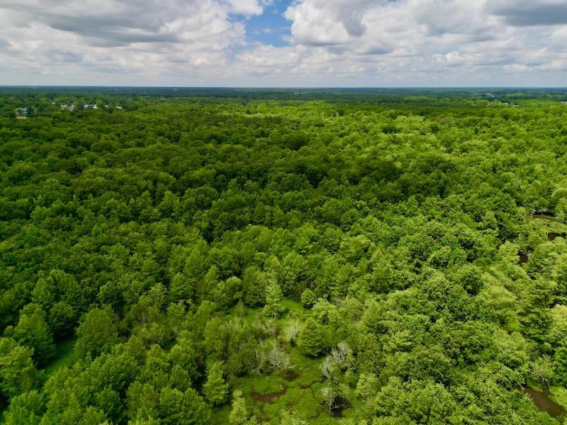 Hookerton, NC 36 acres Land and Farms Realty