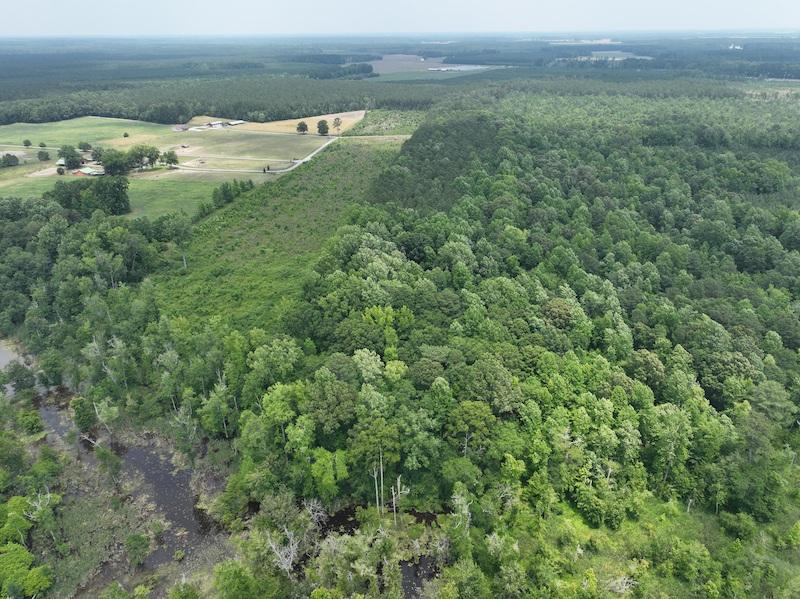 Gatesville, NC 26.5 acres Land and Farms Realty