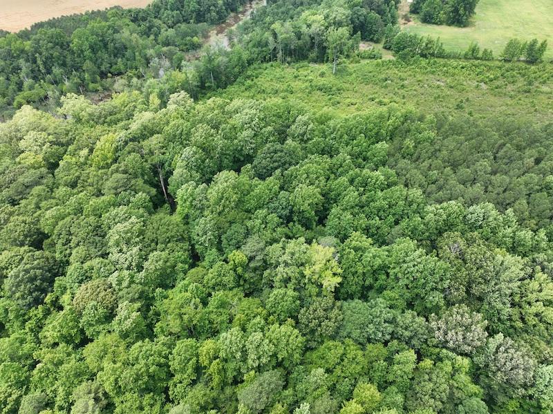 Gatesville, NC 26.5 acres Land and Farms Realty