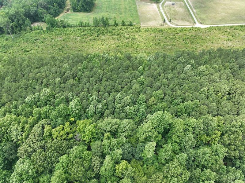 Gatesville, NC 26.5 acres Land and Farms Realty