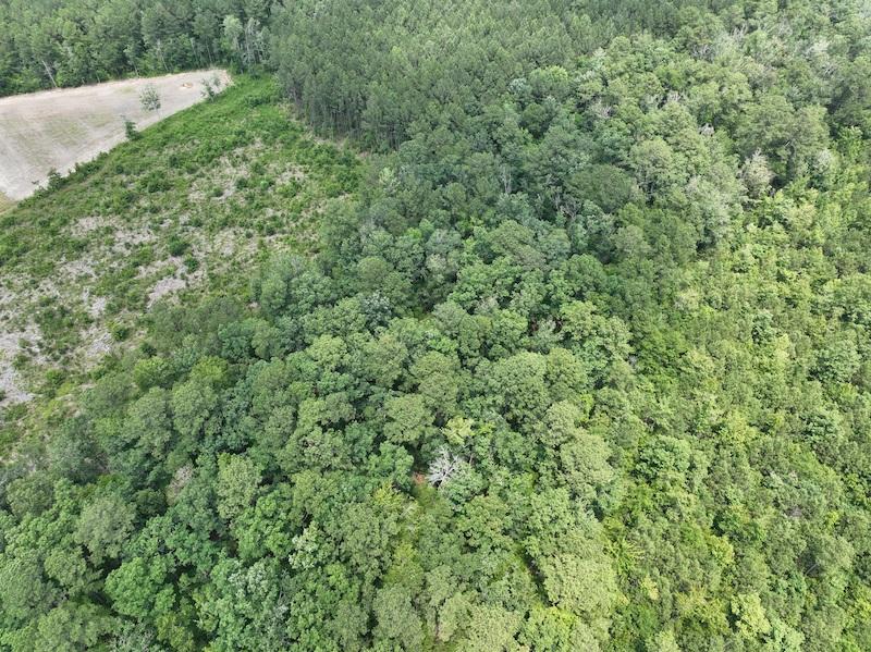 Gatesville, NC 26.5 acres Land and Farms Realty