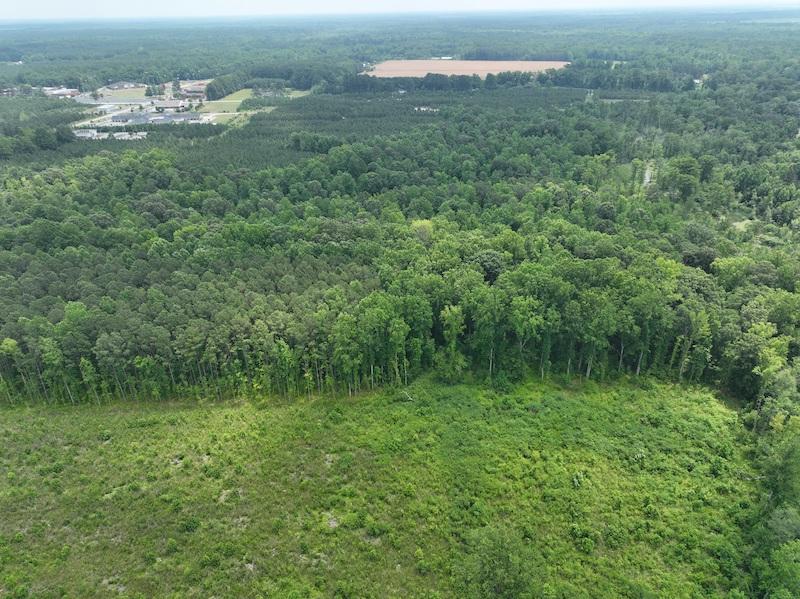 Gatesville, NC 26.5 acres Land and Farms Realty