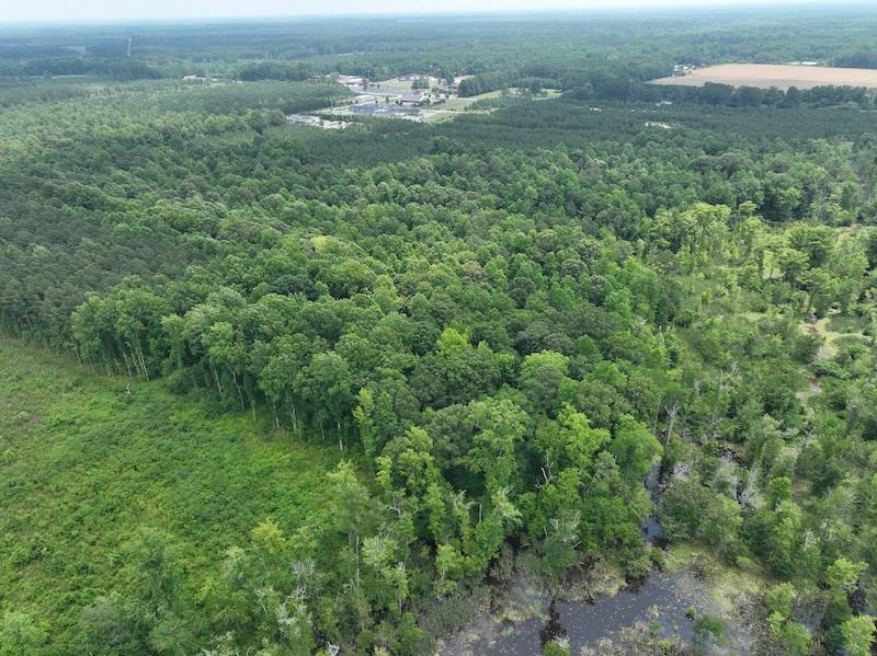 Gatesville, NC 26.5 acres Land and Farms Realty