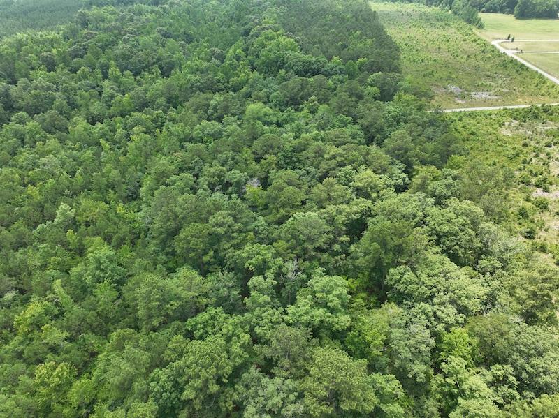 Gatesville, NC 26.5 acres Land and Farms Realty