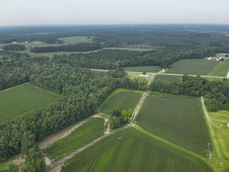 Clarkton, NC 45.56 acres Land and Farms Realty